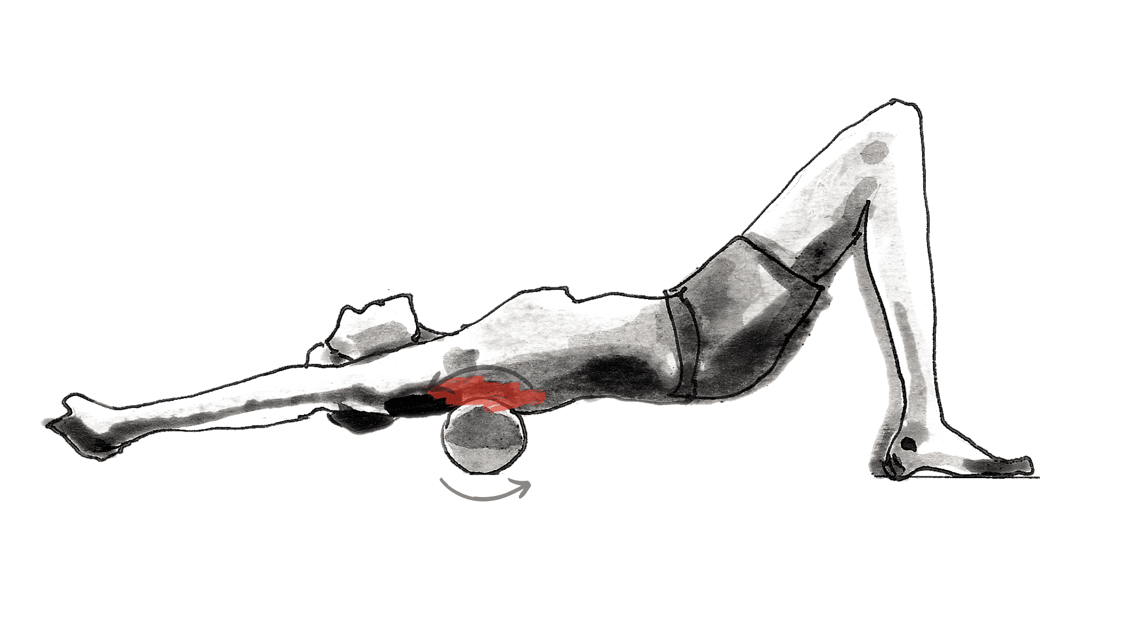 Foam Roller Back Om Roller Foam Roller